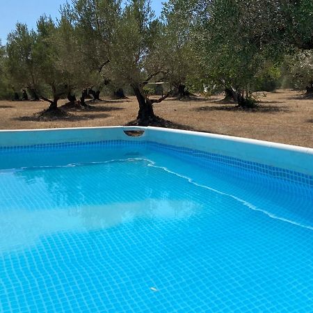 Can Mimosa Tortosa Dış mekan fotoğraf