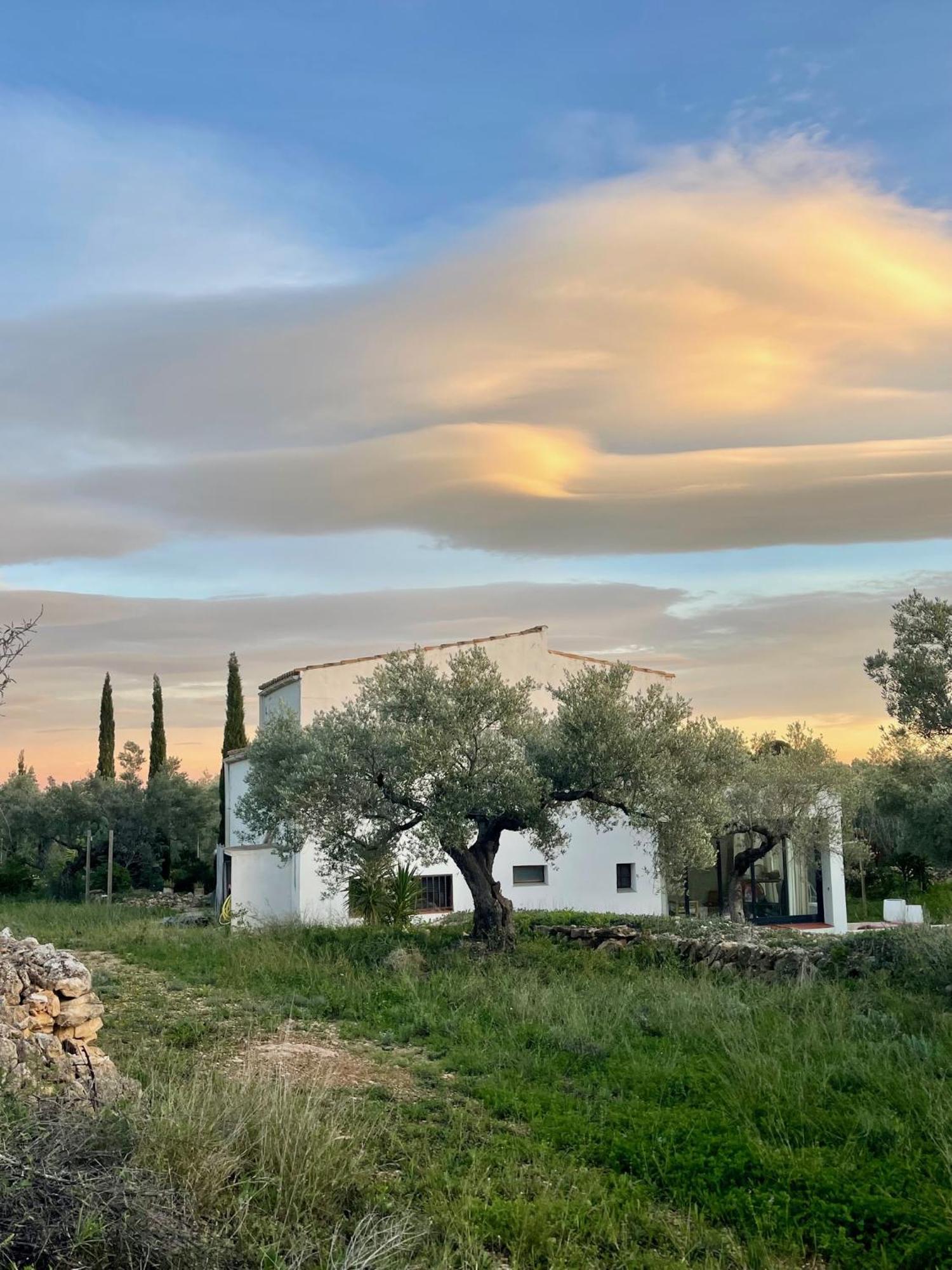 Can Mimosa Tortosa Dış mekan fotoğraf