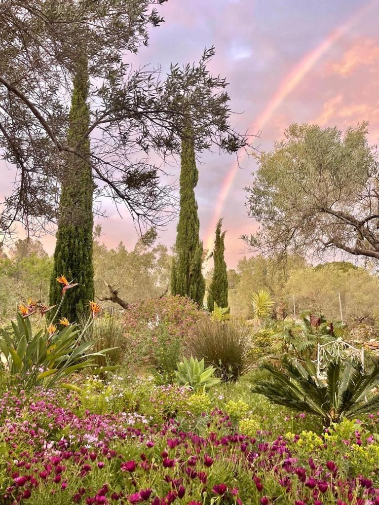 Can Mimosa Tortosa Dış mekan fotoğraf