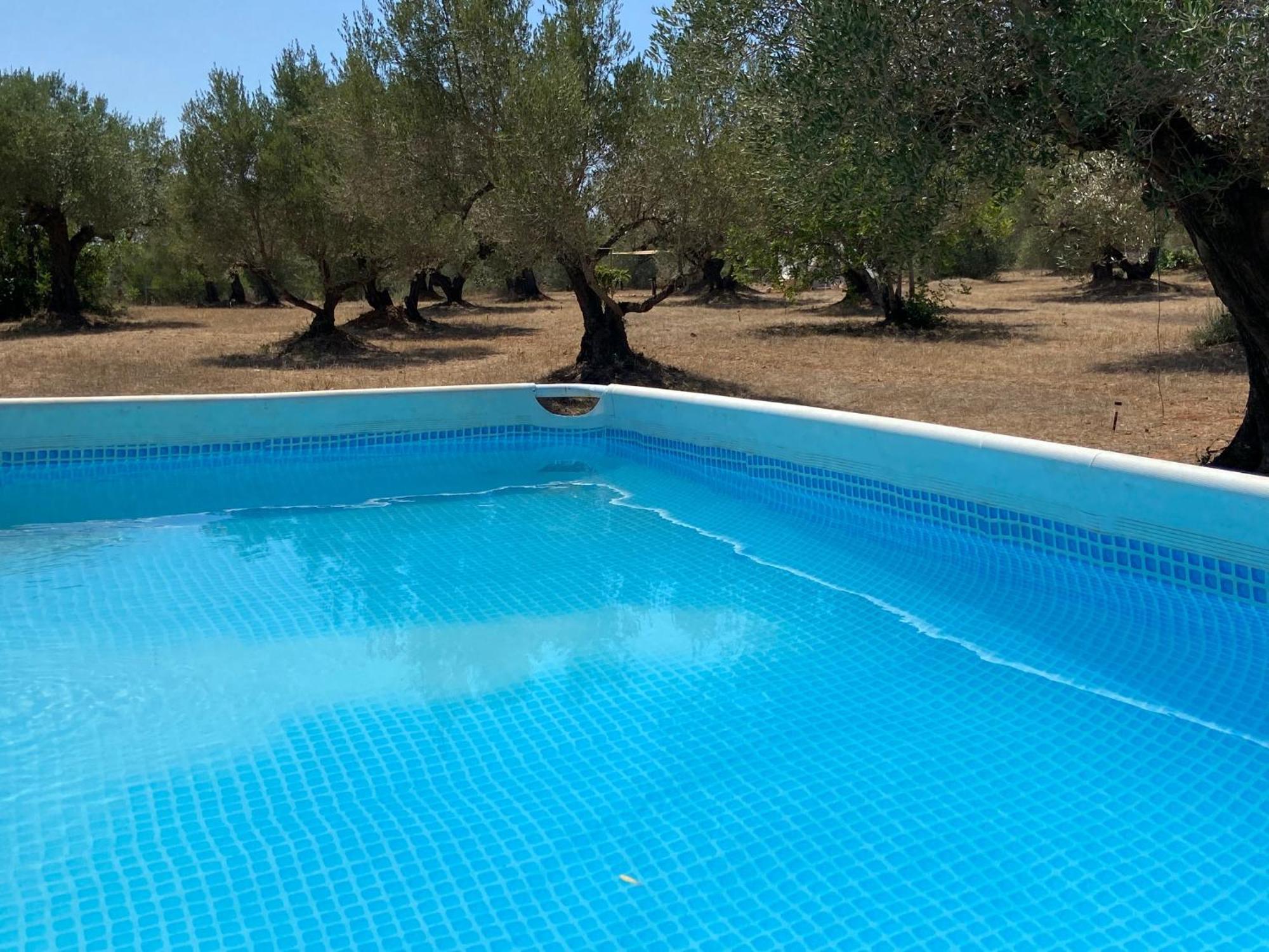 Can Mimosa Tortosa Dış mekan fotoğraf